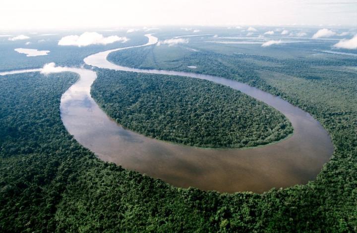 亚马逊的阿马纳保护区，2002年劳力士雄才伟略大奖得主荷西·马斯奥·艾尔斯创建马米拉瓦持续发展保留区并拓展计划至此