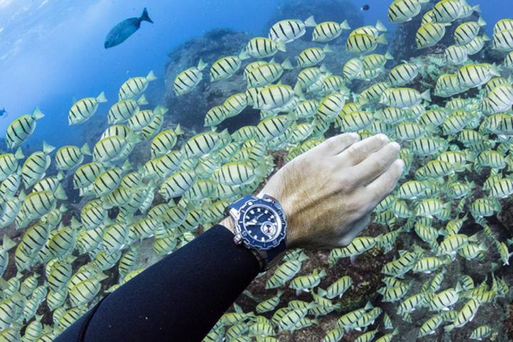 雅典表Deep Dive千米潜水表伴随品牌挚友Fred Buyle与鱼群共舞