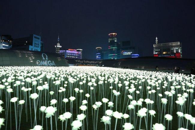通往建筑物的通道两侧展示了超过21,000朵白色鲜花与灯光花朵