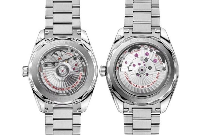 两种尺寸的海马Aqua Terra 150米分别搭载8900机芯（41mm）和8800机芯（38mm），都是通过大师天文台认证的可靠作品。