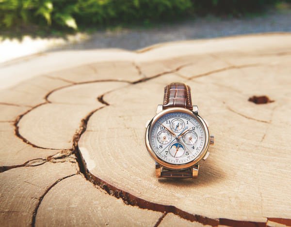 道出历史故事的年轮：翠柏树干上的1815 RATTRAPANTE PERPETUAL CALENDAR