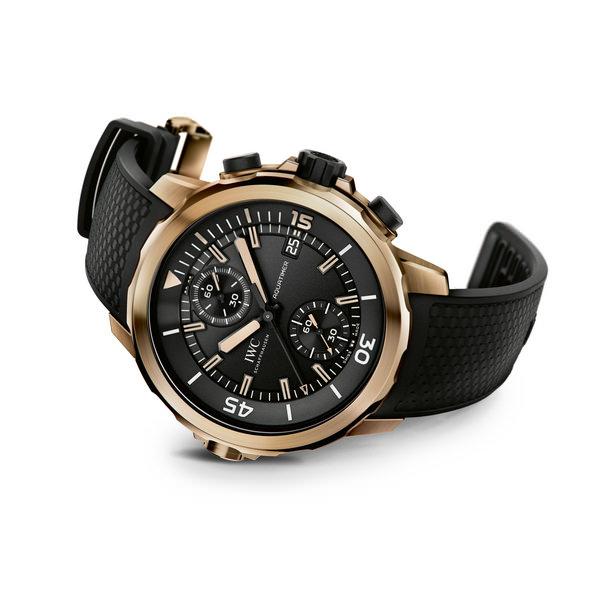 海洋时计计时手表“达尔文探险之旅”特别版 (IW379503)