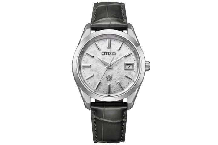 The CITIZEN 30 周年限定款 Iconic Nature Collection–AQ4100-22A