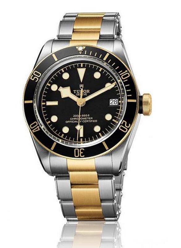 TUDOR Heritage Black Bay S&G