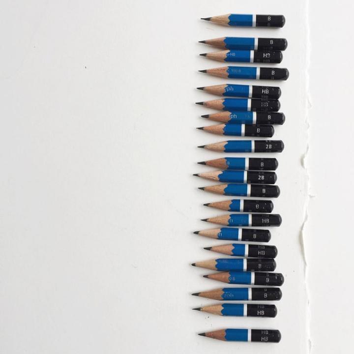 每幅表画最少消耗Julie Kraulis 50枝铅笔，可谓写实的代价。她认为铅笔虽然基本，却是值得投放一生时间修练的绘画材料工具，因为它会将画师跟不同时代的科学家、数学家和艺术家联系，如达文西和达利等大师