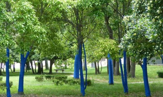 Girard—Perregaux芝柏 “Blue Forest”环保的艺术