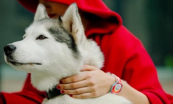 斯沃琪 Swatch 变身手腕上的故事书