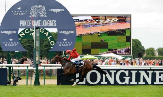 冠军蒂埃里•加内与坐骑“Treve”飞驰赛场