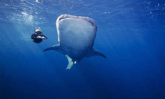 Oris豪利时第二轮Facebook上的表款图片征集竞赛活动的获奖者产生 